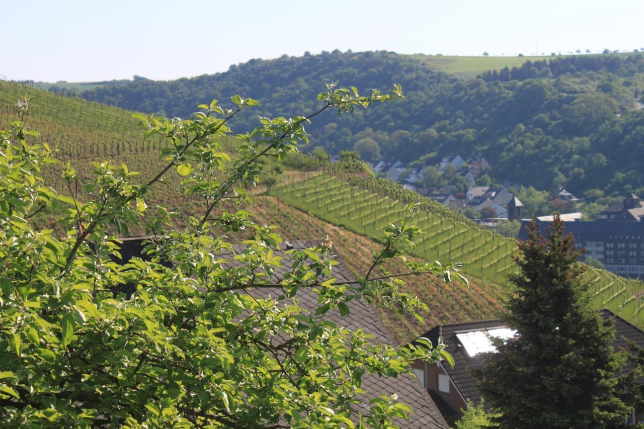 Ferienwohnung Klosterberg Lehmen 外观 照片